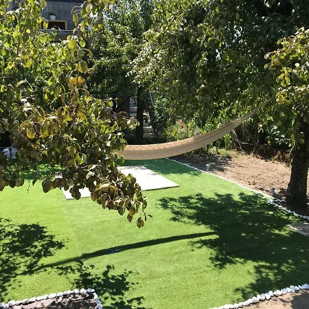 Dds-Dominio Das Sem&Ntes Vouzela Exterior photo